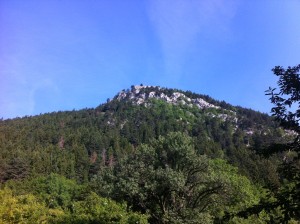 IMG_1808