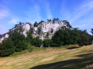 IMG_1812