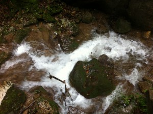 IMG_2397