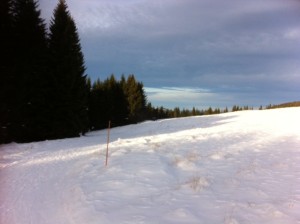 Foto 1 (1)