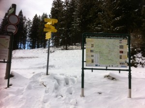 Foto 1 (4)