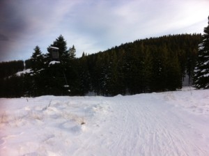 Foto 2 (1)