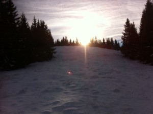 Foto 3 (1)