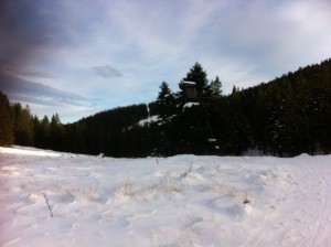 Foto 4 (2)