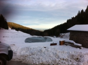 Foto 5 (1)