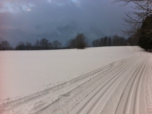 Tolle Verhältnisse bei der Besichtigung am Mittwoch