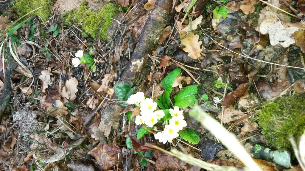 20160215_103446