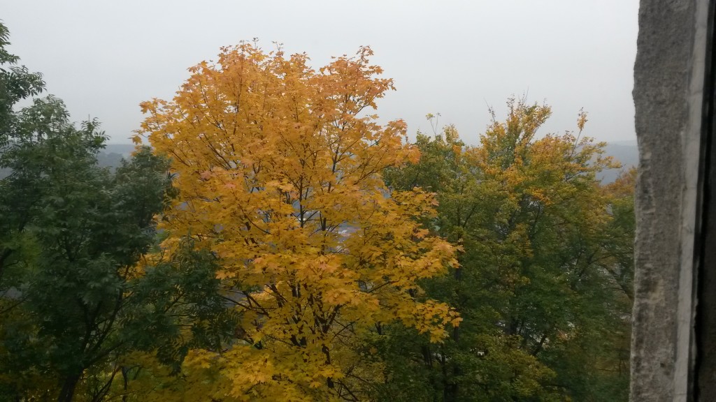 20161017_093011